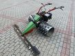 Rapid  Swiss 
