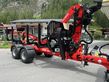 Stepa Stepa Forstanhänger M14 Kran FZ72.90