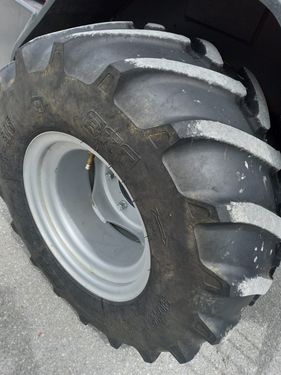 Schäffer 3650