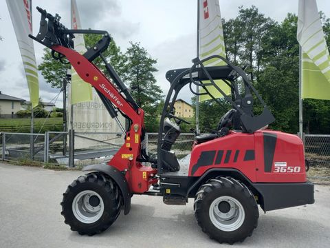 Schäffer  3650