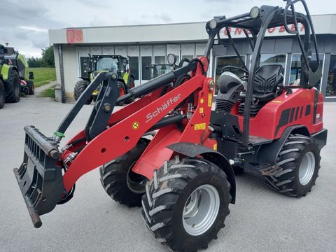 Schäffer  3650