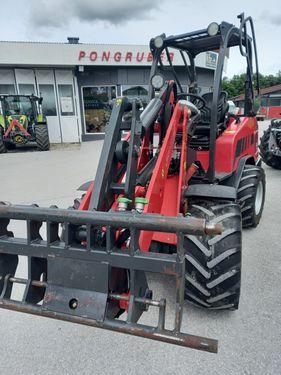 Schäffer  3650
