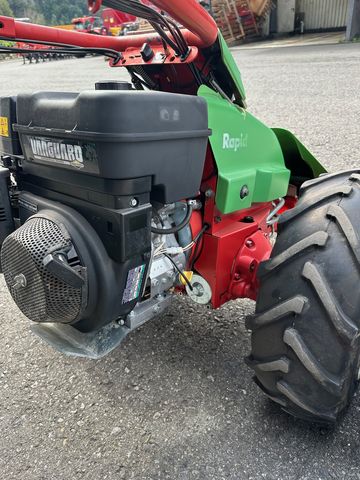 Rapid Euro 3