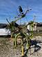 Claas Volto 740