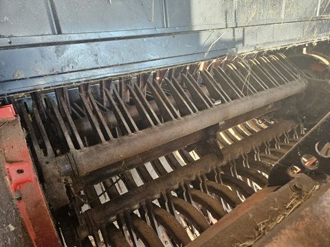 3713-b4bb178576fe14cadad472dd60a39181-6780820