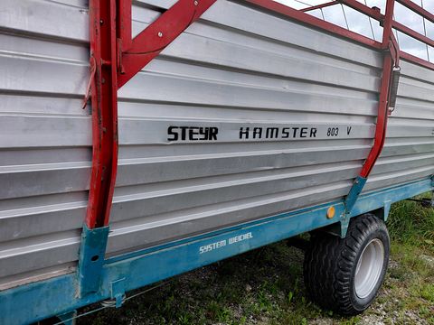 Steyr Hamster 803 V