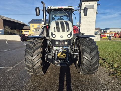 Steyr 6300 Terrus CVT