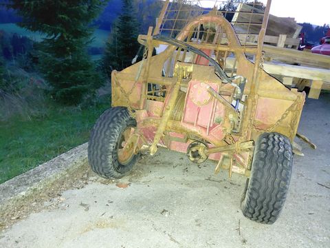 Sonstige Steyr Rückewagen