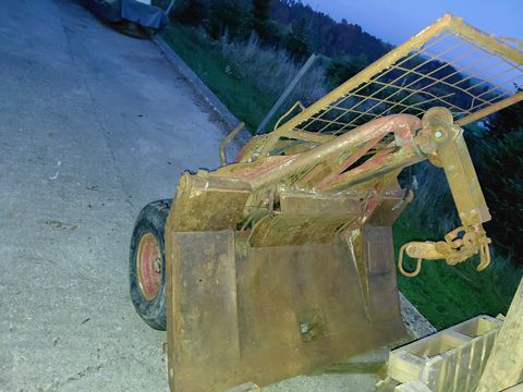 Sonstige Steyr Rückewagen