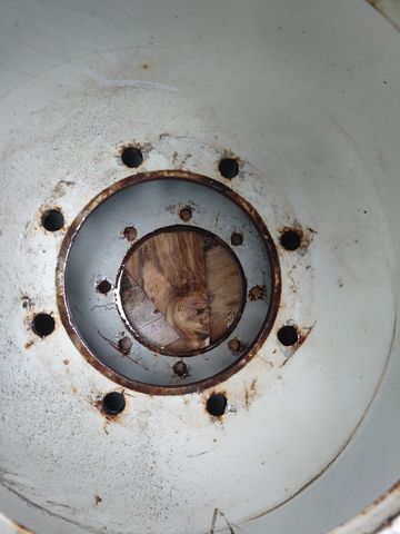 Trinker Steyr, CNH, Case, New Holand