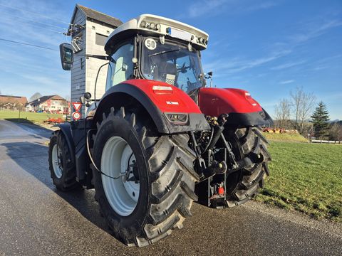 Steyr 6300 Terrus CVT