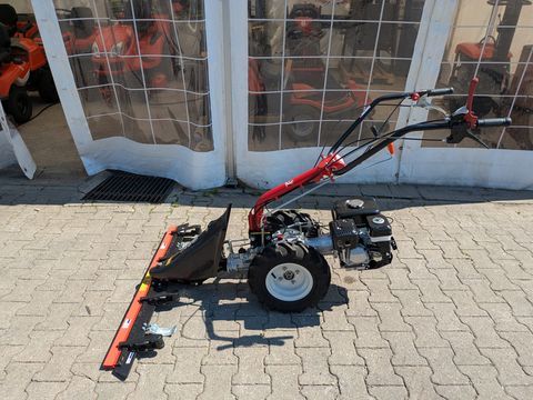 Eurosystem M550