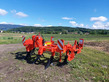 Maschio-Gaspardo Pinoccio