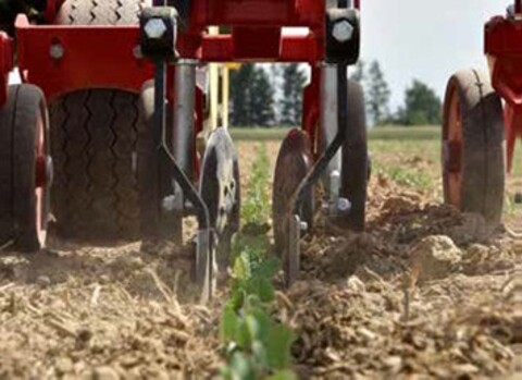 Einböck Chopstar Twin, Row Guard auf Anfrage 2
