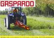 Gaspardo Fiore