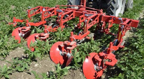 Einböck HILLSTAR Häufelgerät EHG 4-Reihig 3