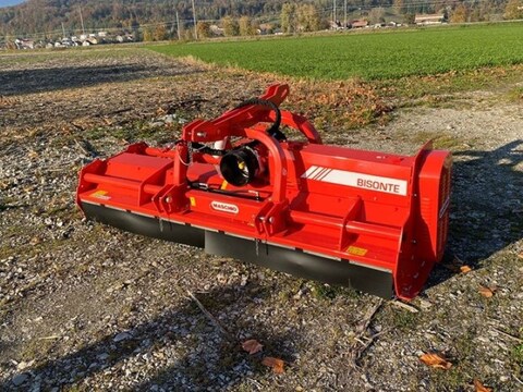 Maschio Bisonte