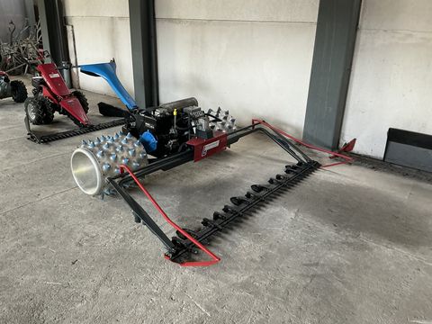 Brielmaier Typ 15