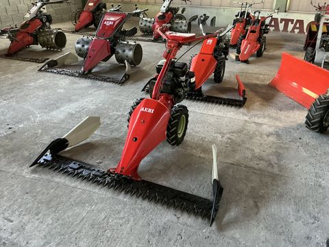 Aebi AM9