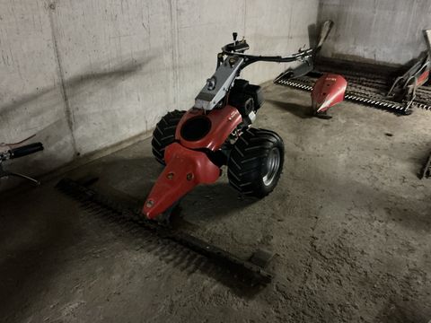 Aebi CC 36