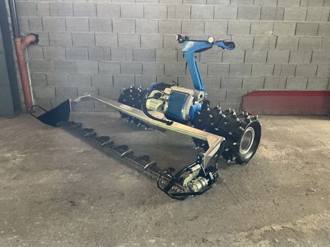 Brielmaier Typ 29