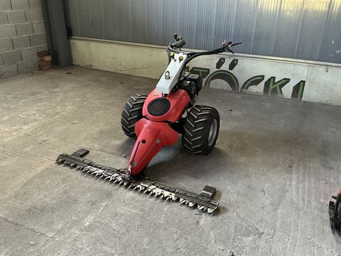 Aebi CC 36