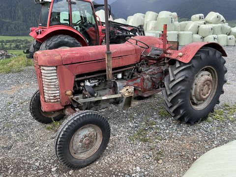 Massey Ferguson MF 65