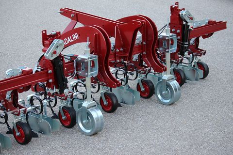 Badalini Hackgerät Bodenfräse Reihenfräse Striegel Mulche