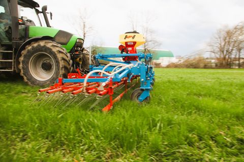 Gorenc Striegel Hackstriegel Saatstriegel Hackgerät