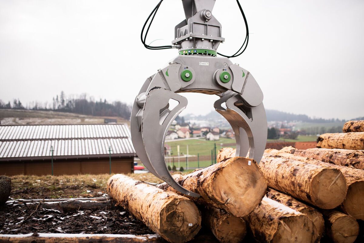 Modularis MD 9.0 Greifer Bagger Fällgreifer Baumschere 3
