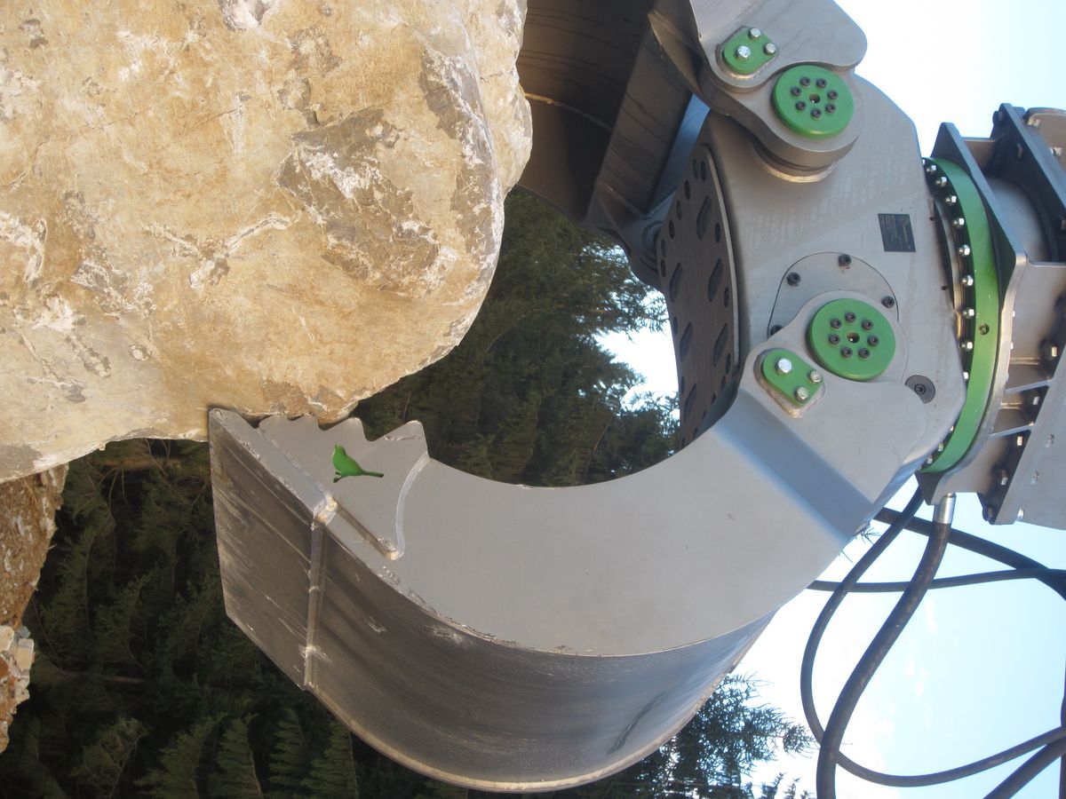 Modularis MD 9.0 Greifer Bagger Fällgreifer Baumschere 1