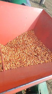 Sonstige Delta Planter