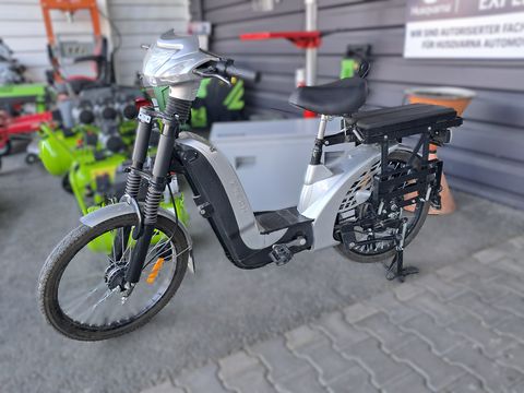 Sonstige Elektrofahrrad InrNr 12173