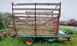 Steyr Hamster Plus 15