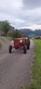 McCormick D 436