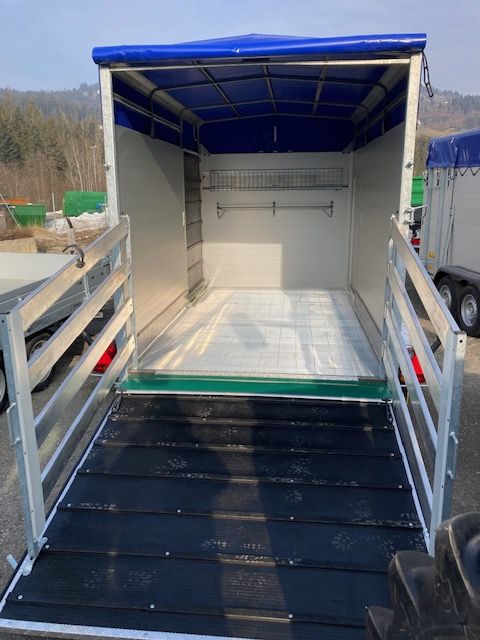 Daltec VT 2500 Premium  3