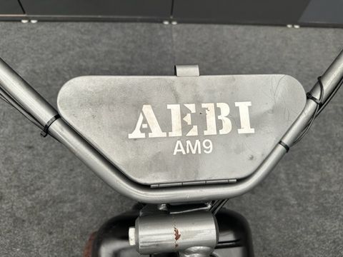 Aebi Motormäher AM9 160cm Fingerbalken, gebraucht 