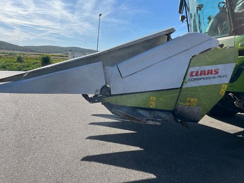 Claas Cornspeed 6-75C