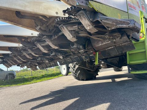Claas Cornspeed 6-75C