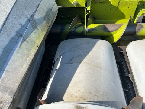 Claas Cornspeed 6-75C