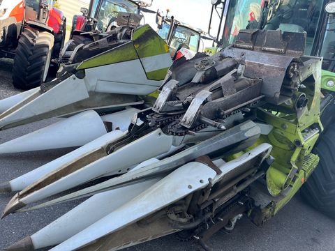 Claas Cornspeed 6-75C