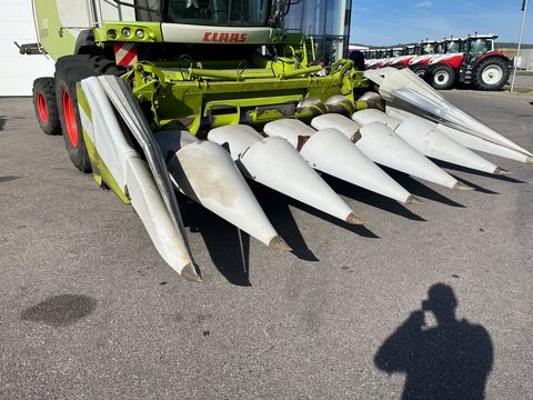 Claas Cornspeed 6-75C