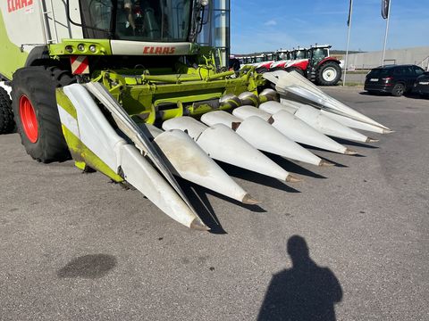 Claas Cornspeed 6-75C
