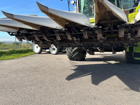 Claas Cornspeed 6-75C