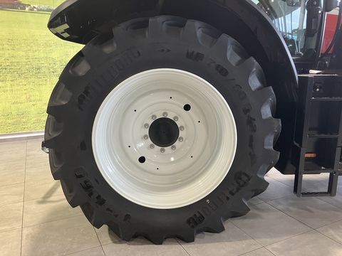 Steyr 6240 Absolut CVT