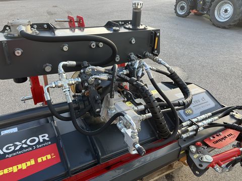 SEPPI M. SMWA rev cf 175