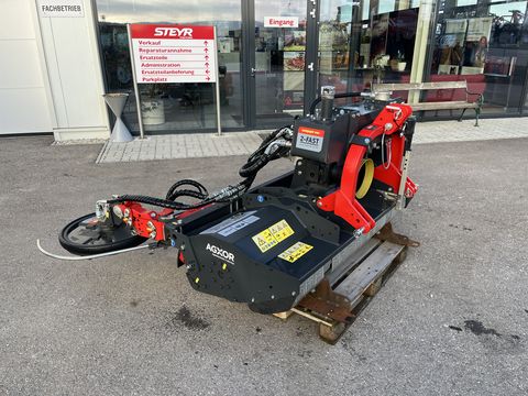 SEPPI M. SMWA rev cf 175