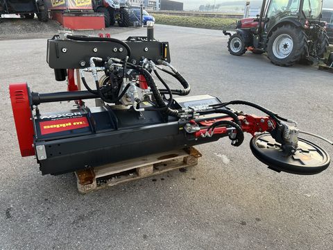 SEPPI M. SMWA rev cf 175