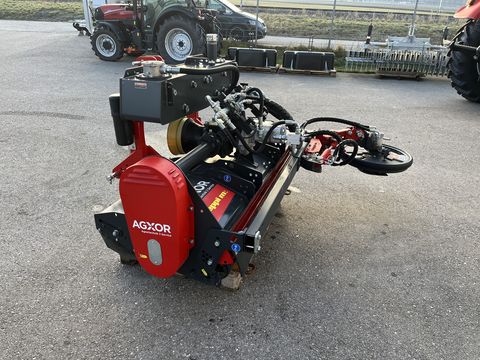 SEPPI M. SMWA rev cf 175