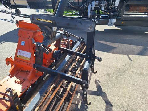 Pegoraro RC 300